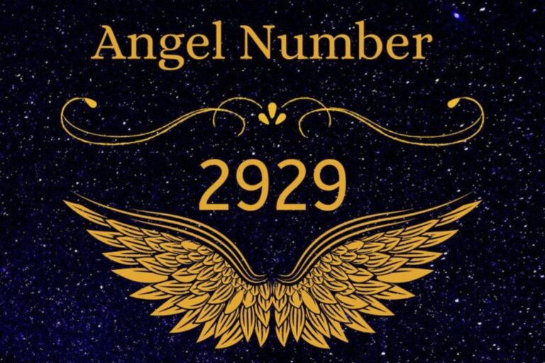 2929 angel number